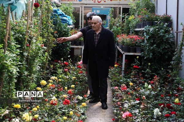 بازار بهاری گل و گیاه در آستانه نوروز