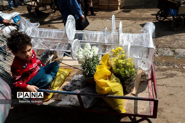 بازار بهاری گل و گیاه در آستانه نوروز