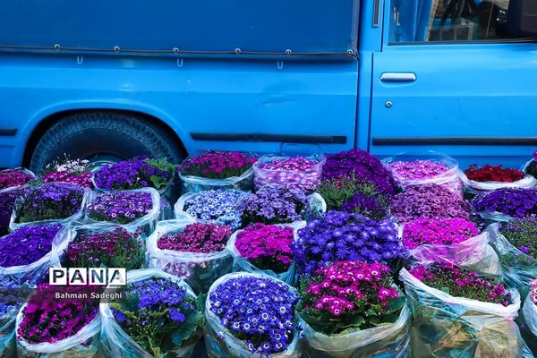 بازار بهاری گل و گیاه در آستانه نوروز