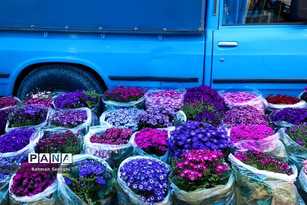 بازار بهاری گل و گیاه در آستانه نوروز