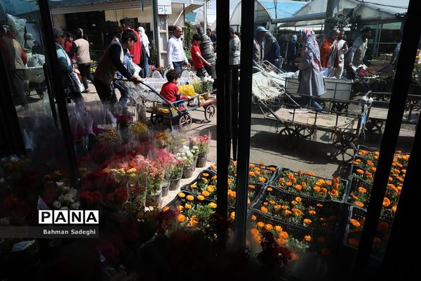 بازار بهاری گل و گیاه در آستانه نوروز