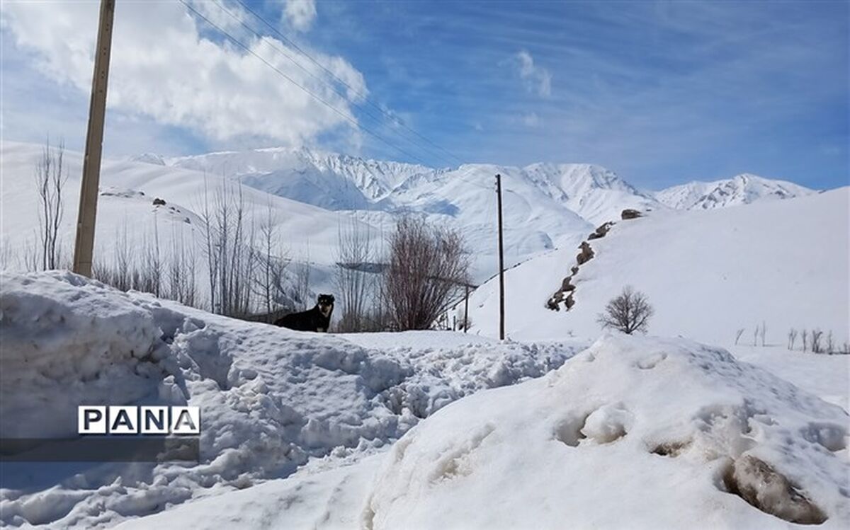 کاهش ۴۰۰ هزار کیلومتر مربع از مساحت برفی کشور