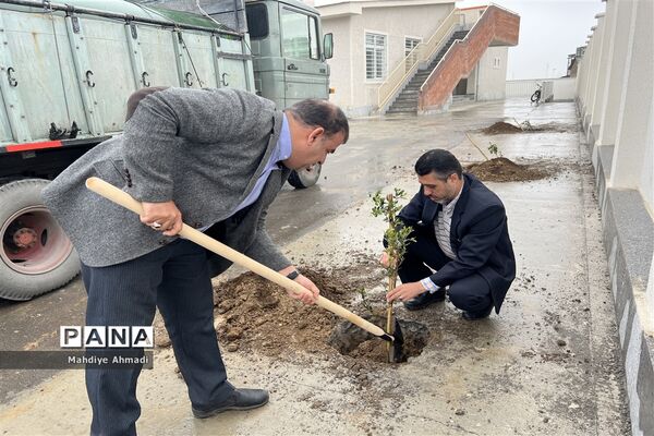 مراسم درختکاری در گلستان
