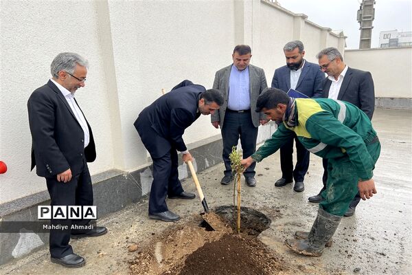 مراسم درختکاری در گلستان