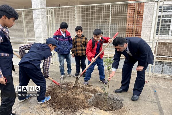 مراسم درختکاری در گلستان