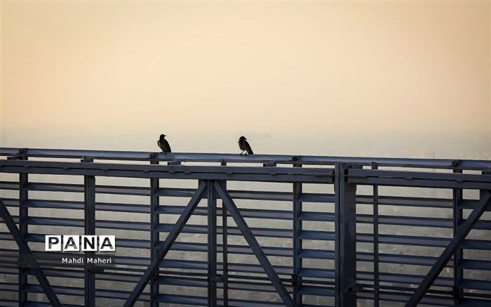 اهواز، آلوده‌ترین شهر ایران شد