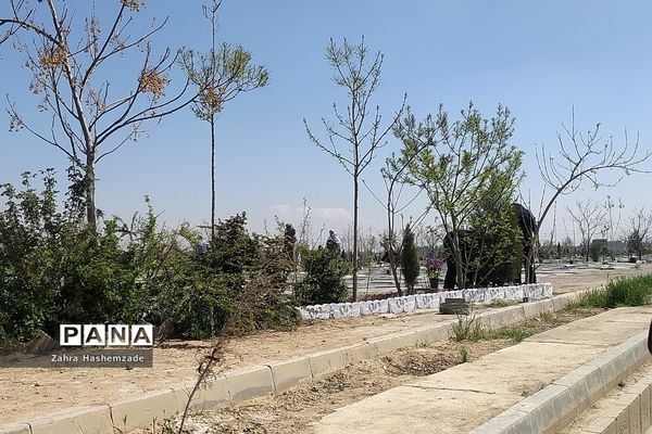 آخرین روز سال در بهشت زهرا(س) تهران