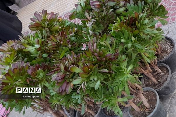 حال و هوای نوروزی در بازار شهرکرد