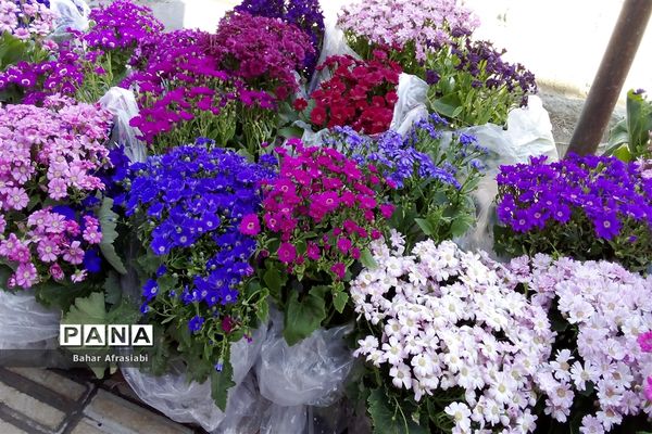 حال و هوای بهاری بازارهای شهرستان رباط‌کریم