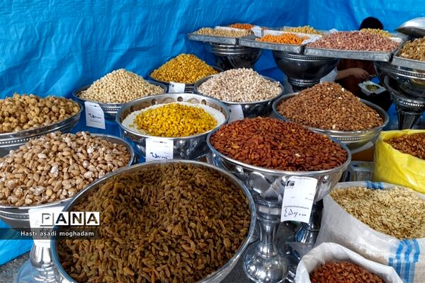 برگزاری نمایشگاه بهاره در ملارد