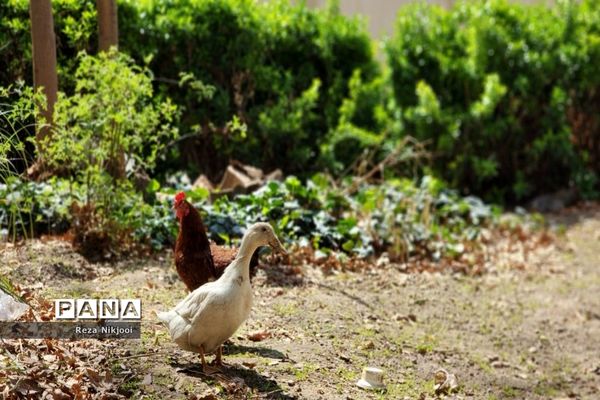 هنرستانی به قدمت انقلاب اسلامی در تهران