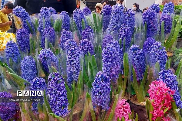 حال و هوای پایانی سال در بازار تجریش تهران