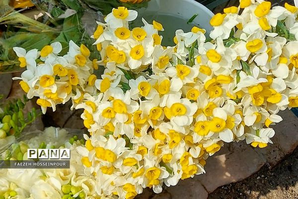 حال و هوای پایانی سال در بازار تجریش تهران