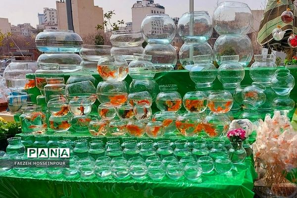 حال و هوای پایانی سال در بازار تجریش تهران