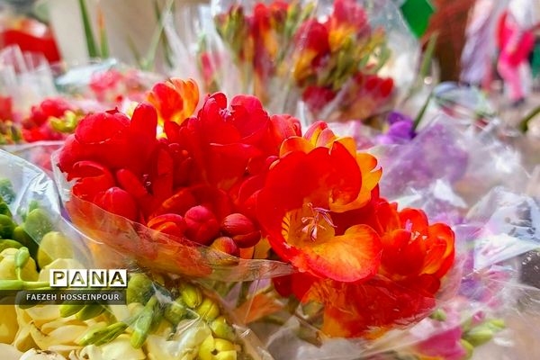 حال و هوای پایانی سال در بازار تجریش تهران