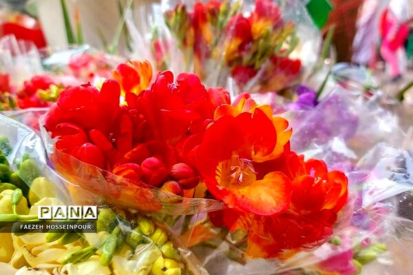 حال و هوای پایانی سال در بازار تجریش تهران