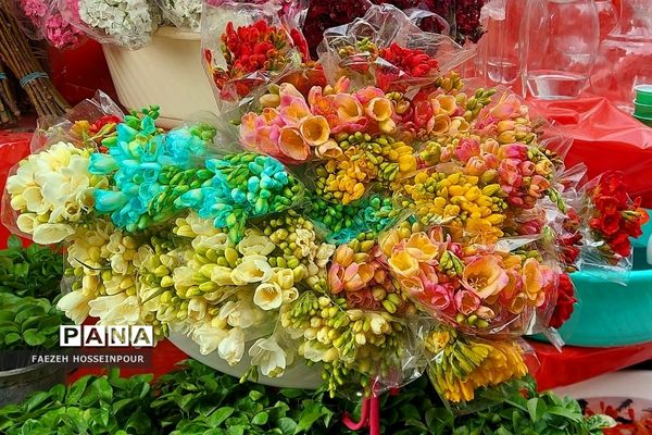 حال و هوای پایانی سال در بازار تجریش تهران