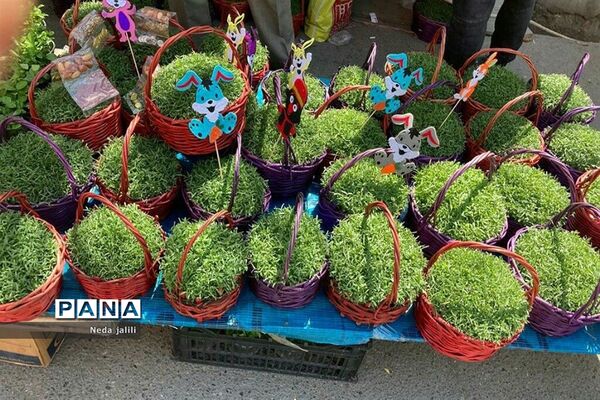 نمایشگاه بهاره شهرستان قرچک در روزهای پایانی سال