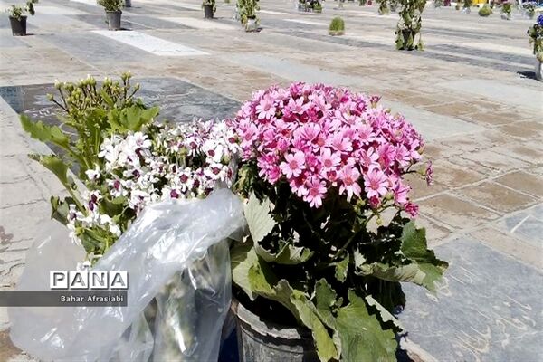 بازدید از آستان مقدس امام زاده عمادالدین در شهرستان رباط‌کریم