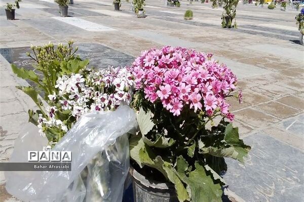 بازدید از آستان مقدس امام زاده عمادالدین در شهرستان رباط‌کریم