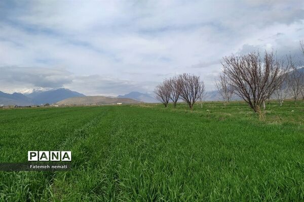 طبیعت زیبای بهاری روستای هندودر اراک