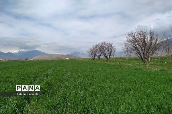 طبیعت زیبای بهاری روستای هندودر اراک