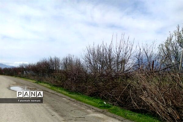 طبیعت زیبای بهاری روستای هندودر اراک