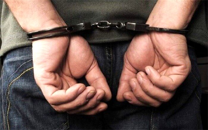دستگیری ۲۰۴ متهم اقتصادی و کشفیات میلیاردی