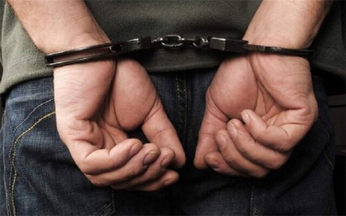 دستگیری ۲۰۴ متهم اقتصادی و کشفیات میلیاردی