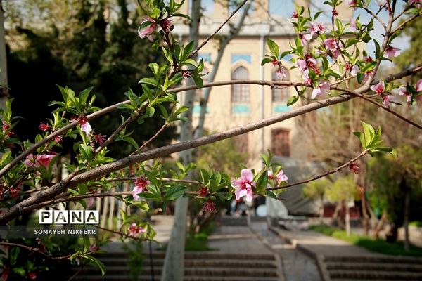 باغ موزه نگارستان تهران، باغی دلچسب به بلندای تاریخ