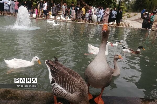باغ گلشن در طبس، بهشتی در میان کویرهای ایران