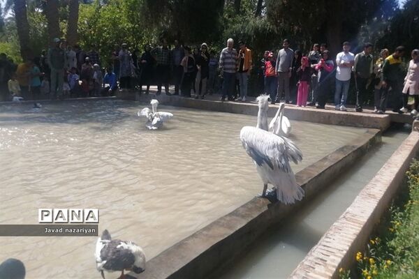 باغ گلشن در طبس، بهشتی در میان کویرهای ایران