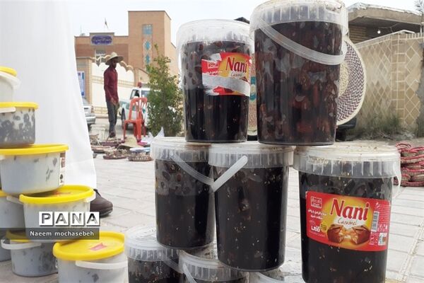 تالاب بین المللی شادگان پذیرای میهمانان نوروزی