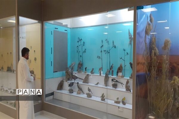 تالاب بین المللی شادگان پذیرای میهمانان نوروزی