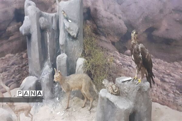 تالاب بین المللی شادگان پذیرای میهمانان نوروزی