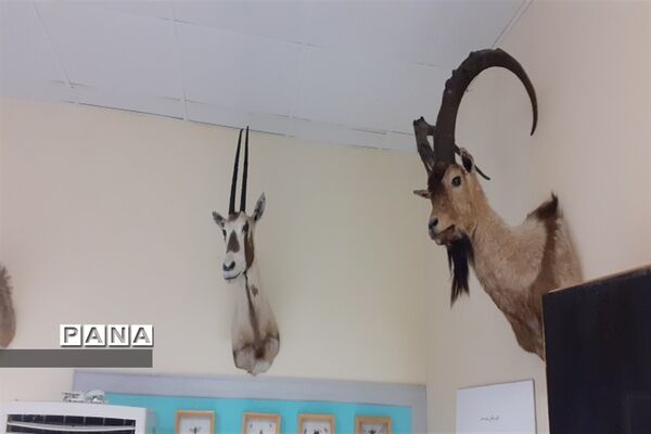 تالاب بین المللی شادگان پذیرای میهمانان نوروزی