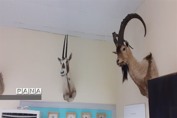 تالاب بین المللی شادگان پذیرای میهمانان نوروزی