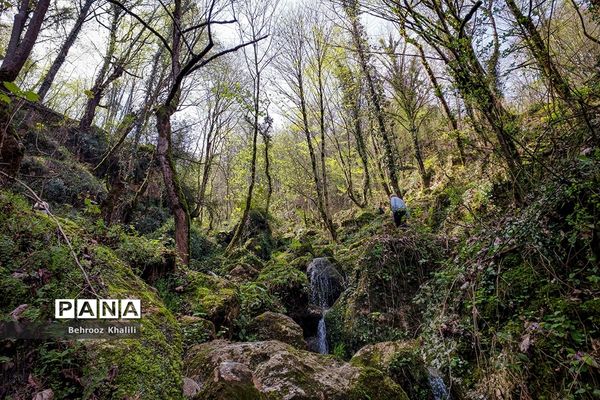 آبشار چلندر