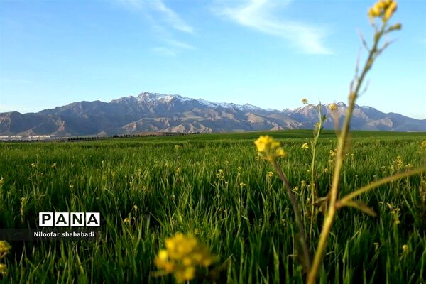 سفری به استان کرمانشاه، دیار مردمان پاک سرشت