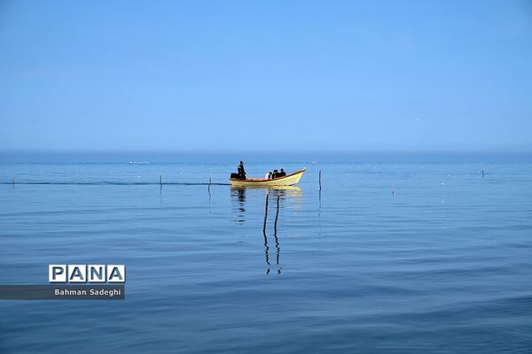 سواحل مازندران