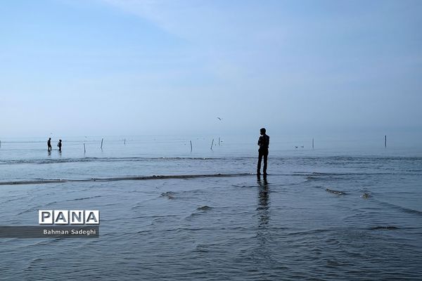 سواحل مازندران
