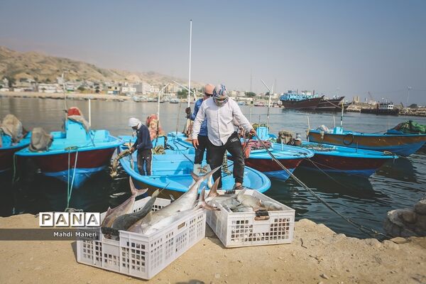 سیراف
