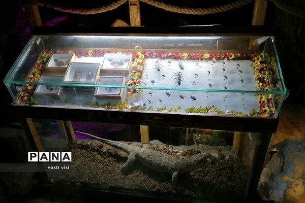 موزه تاریخ طبیعی دانشگاه بوعلی سینا در استان همدان