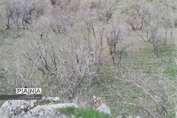 سراب روانسر،  از مهم‌ترین جاذبه های استان کرمانشاه 