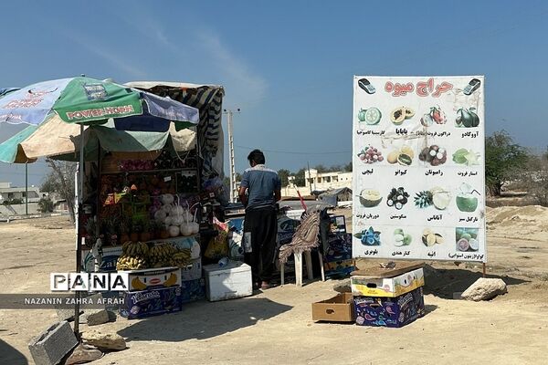 جزیره قشم، بزرگترین جزیره ایران