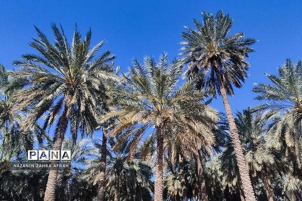 جزیره قشم، بزرگترین جزیره ایران