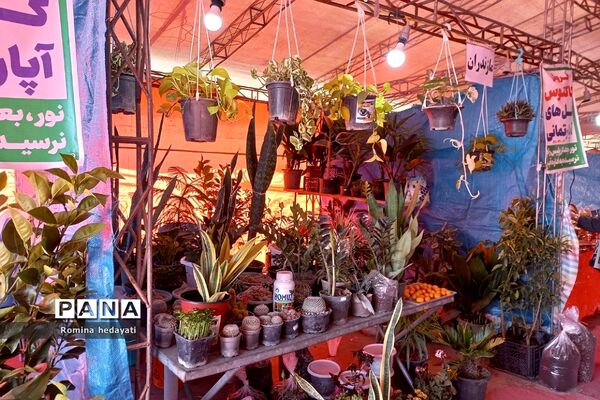 نمایشگاه صنایع دستی در شهر نور
