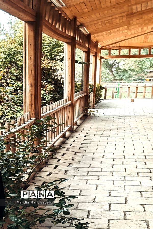 سفری به دهکده چوبی نیشابور