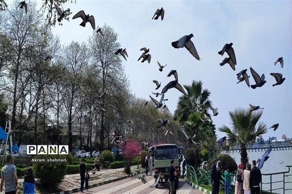 بهار در لاهیجان