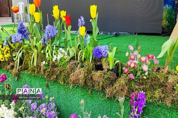 بهار در لاهیجان